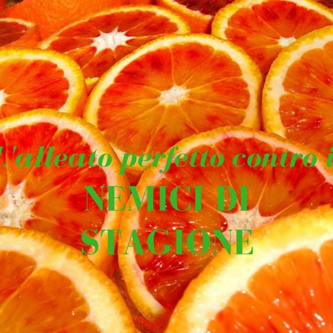 Alimentazione bio: arance, il frutto anti-age – Ambiente Bio