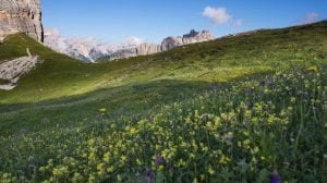 “La vita è come un’eco: se non ti piace quello che ti rimanda, devi cambiare il …