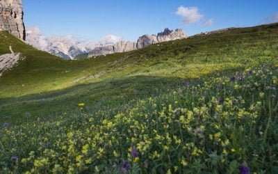 “La vita è come un’eco: se non ti piace quello che ti rimanda, devi cambiare il …