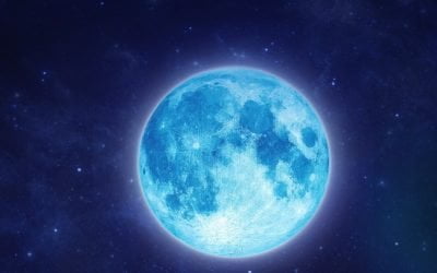 LUNA E UMORE
 Quando la prossima volta vi diranno che siete “Lunatici", non…