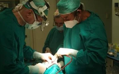 Uno scatto “rubato” del nostro medico e chirurgo estetico Dr. Stefano Dura in sa…