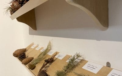 Antherbis  nasce dalla tradizione farmaceutica e nutraceutica delle terre incont…